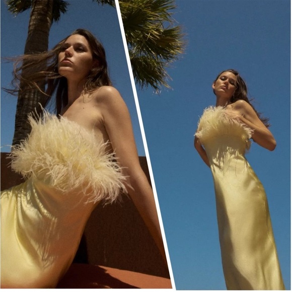 NWT ZARA  VIRAL 2025 COLLECTION FEATHERED SATIN  DRESS SIZE S and L
🚨FIRM PRICE - Picture 6 of 16
